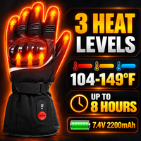 Roadhold Forge — Heated Riding Gloves