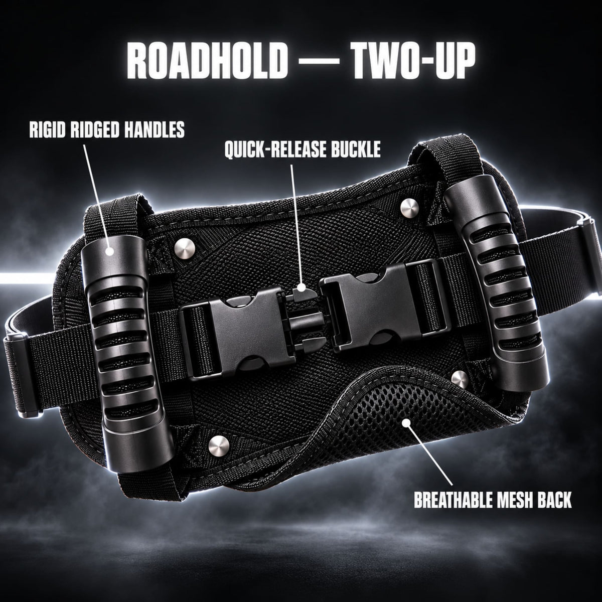 Roadhold Two-Up — Passenger Grab Belt